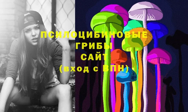 Псилоцибиновые грибы Psilocybe  где продают наркотики  Горячий Ключ 